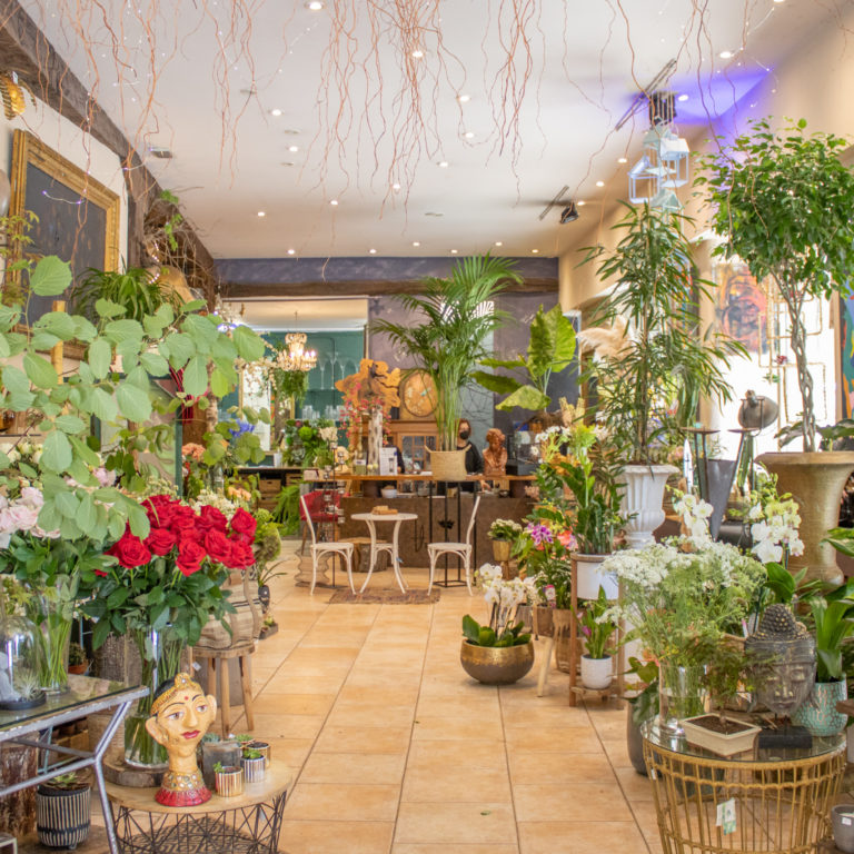 VILLA FLORES, Zaharrean, Alde Zaharreko Merkatarien Elkartea, Centro Comercial de la Parte Vieja de San Sebastián