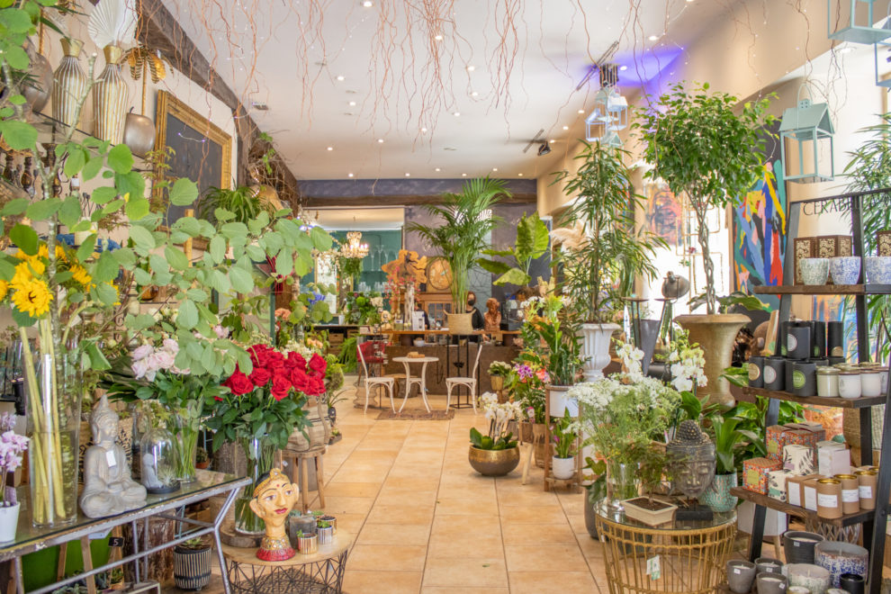 VILLA FLORES, Zaharrean, Alde Zaharreko Merkatarien Elkartea, Centro Comercial de la Parte Vieja de San Sebastián